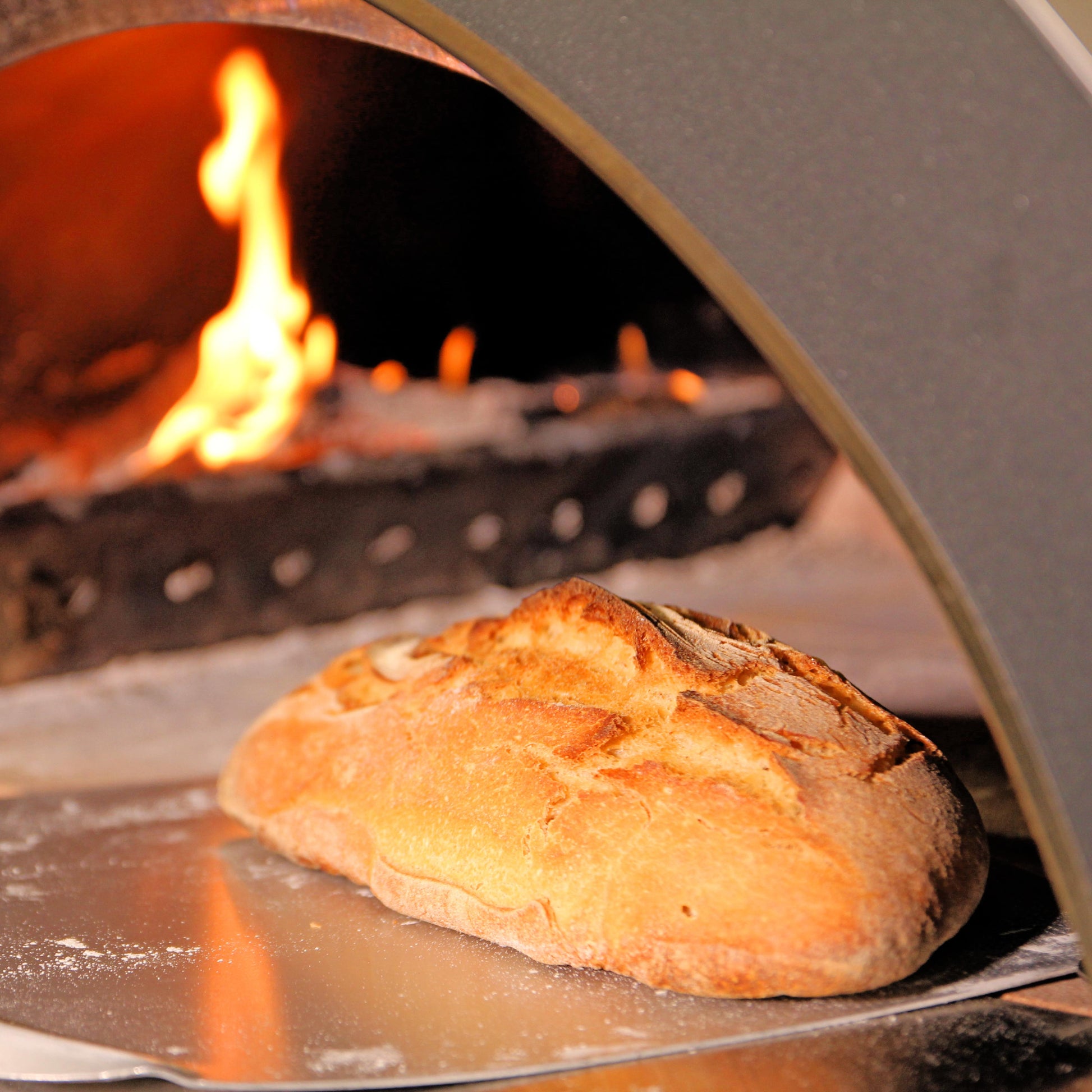 Clementi Family Wood Fired Pizza Oven