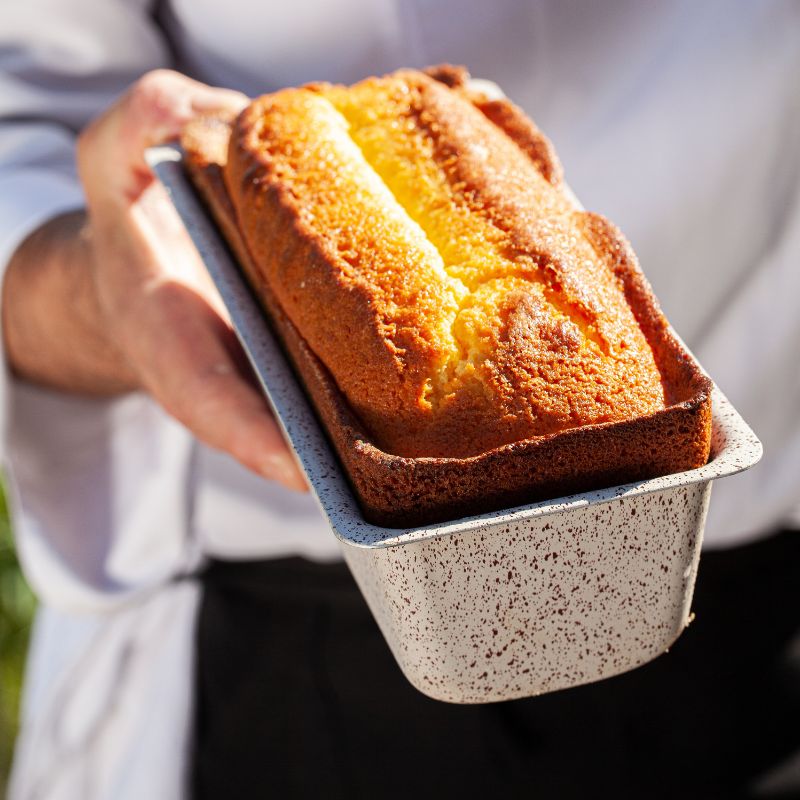 Fontana Forni Bellagio Wood Fired Build In Pizza Oven