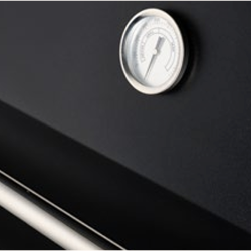 Fontana Ignes 4 Burner Gas BBQ