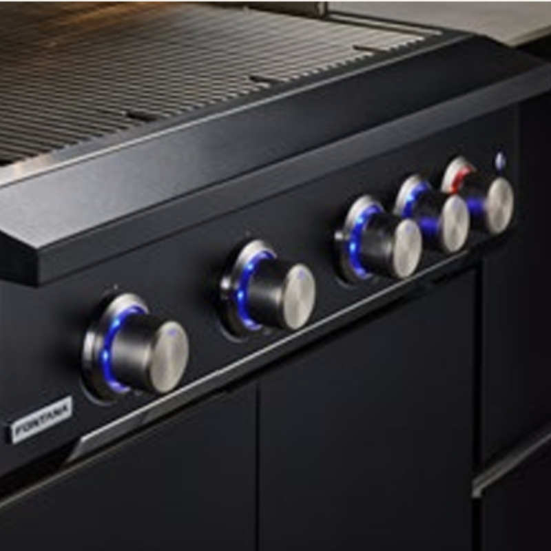Fontana Ignes 4 Burner Gas BBQ