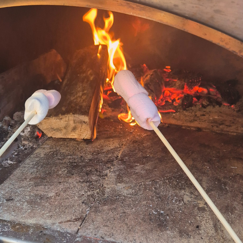 Igneus Classico Wood Fired Pizza Oven Marshmallows over the fire